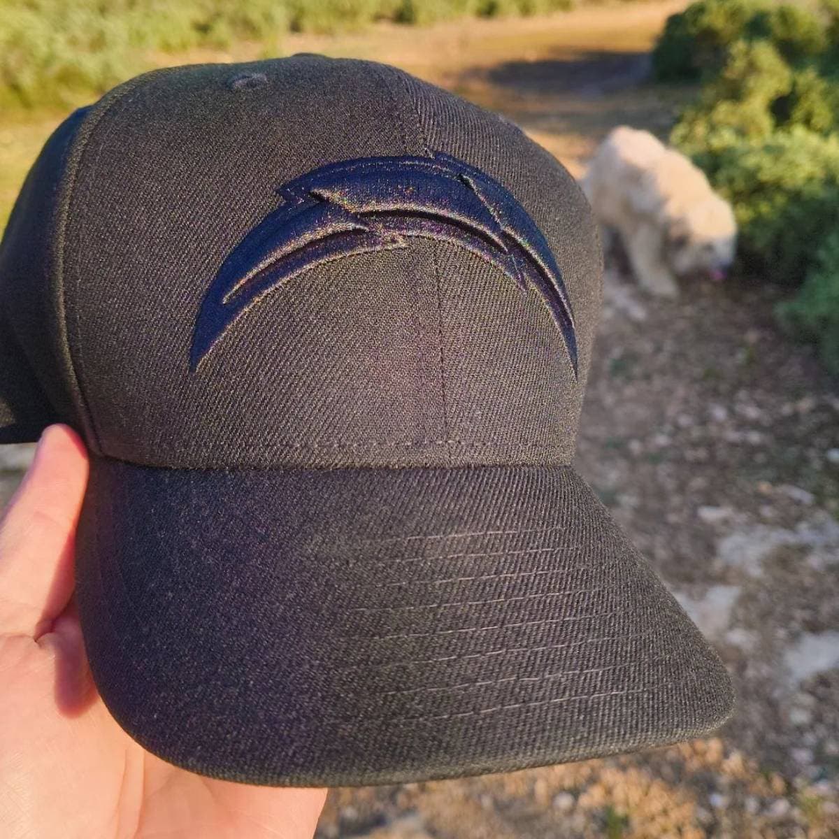 Chargers Black