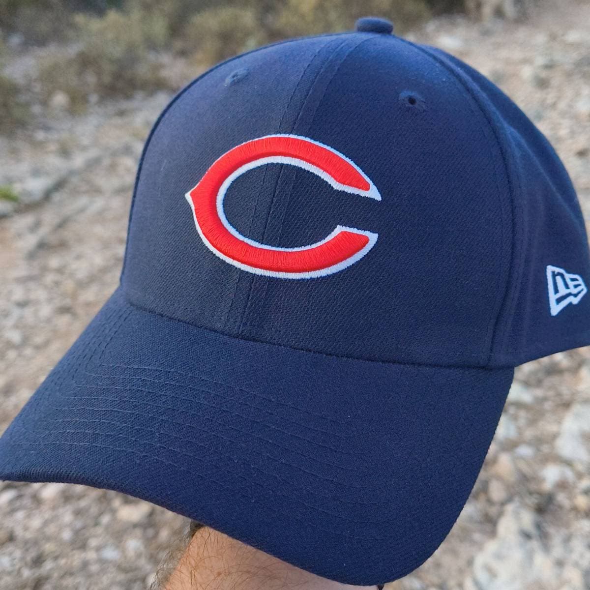 Bears 9Forty