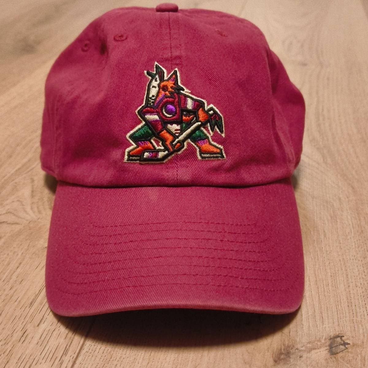 Arizona Coyotes Clean Up
