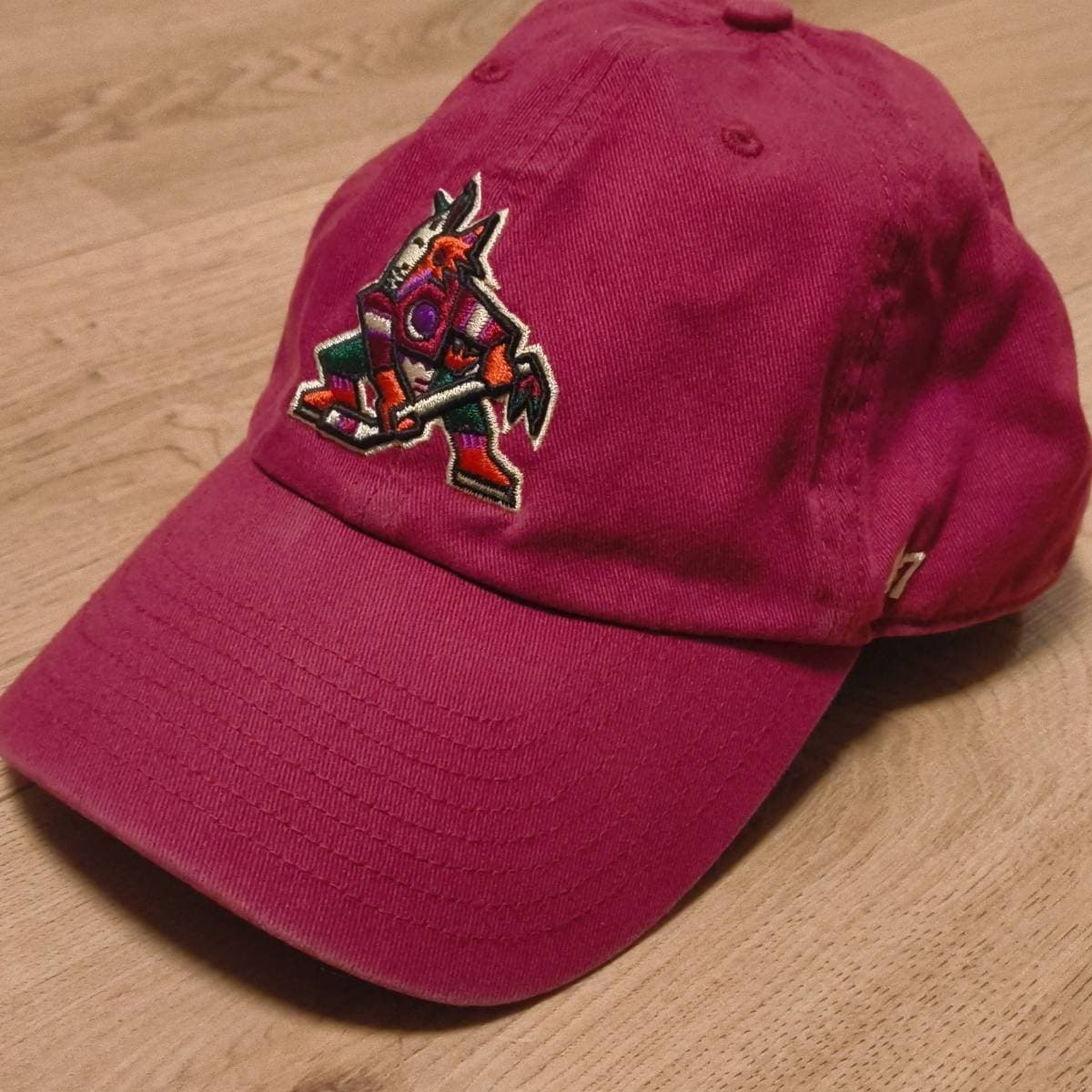 Arizona Coyotes Clean Up — 2