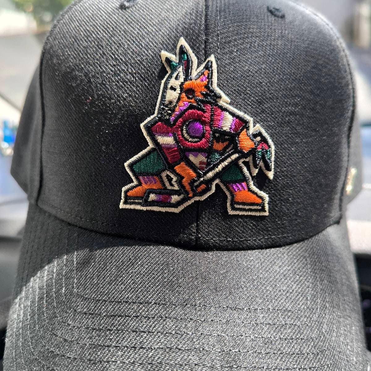 Arizona Coyotes