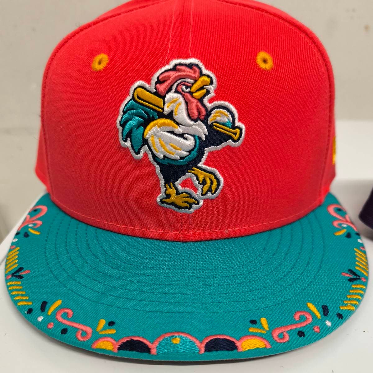 Delmarva Shorebirds
