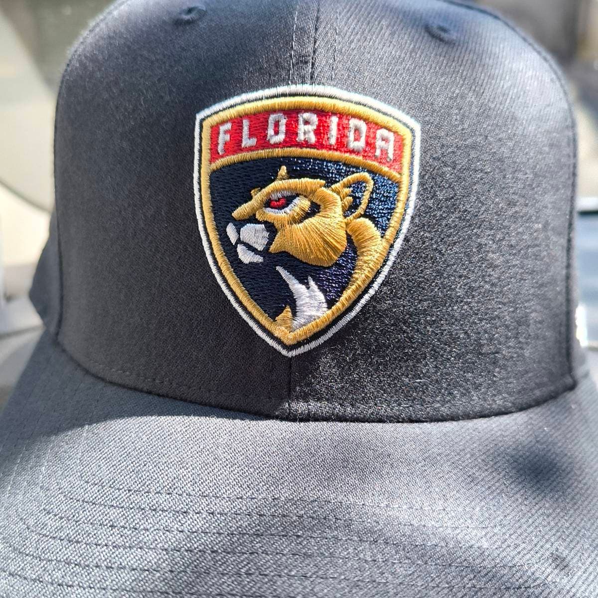 Casquette Florida Panthers
