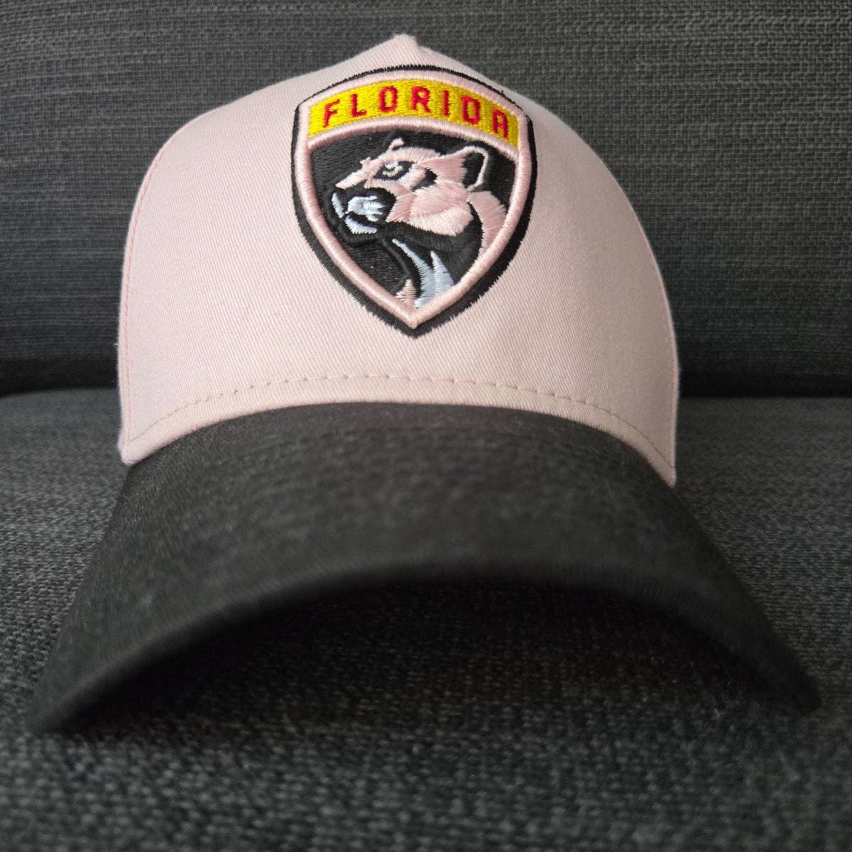 Casquette Florida Panthers