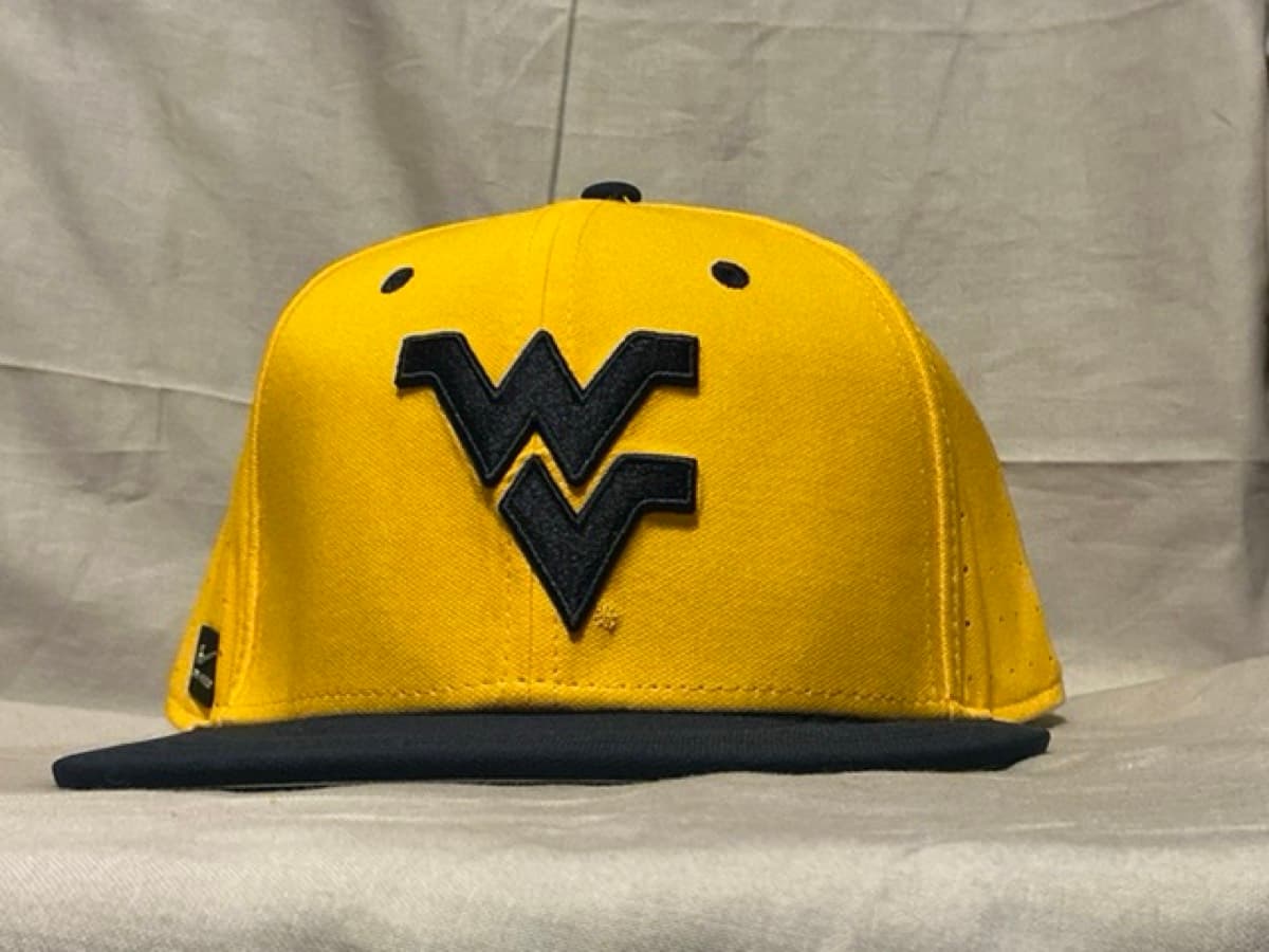 West Virginia Mountaineers