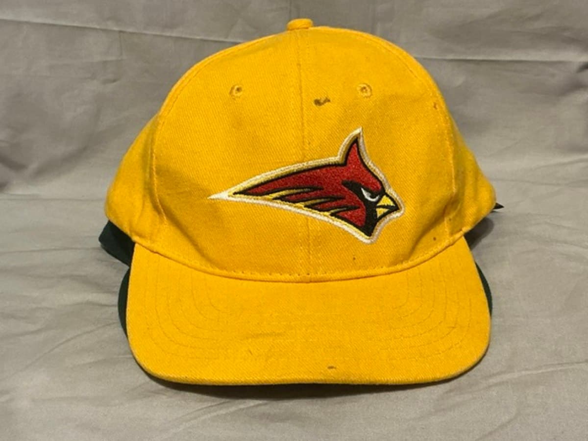 Calvert Hall College High School Cardinals. Alumni Towson Md.