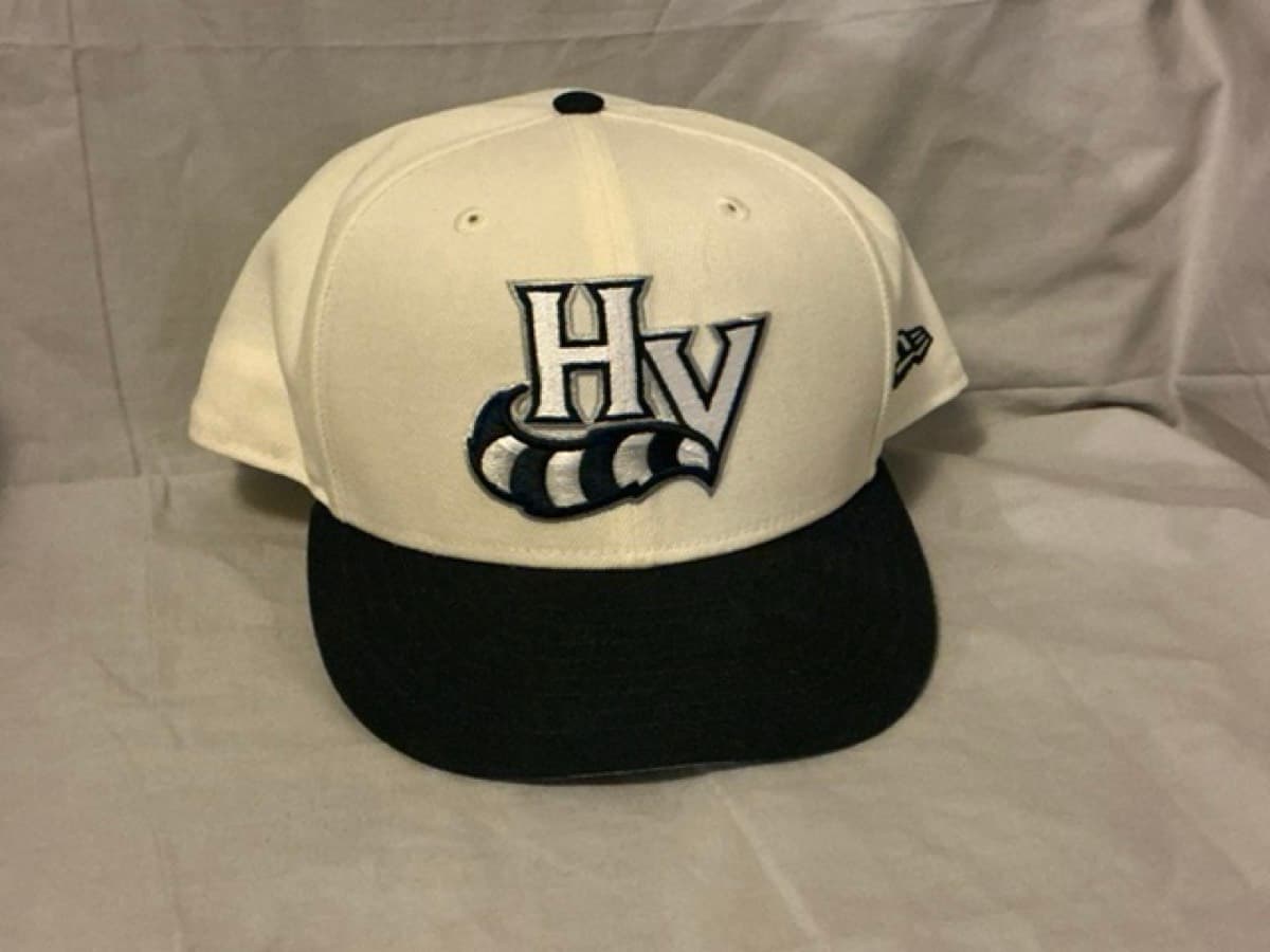 Hudson Valley Renegades. (Yankees A)