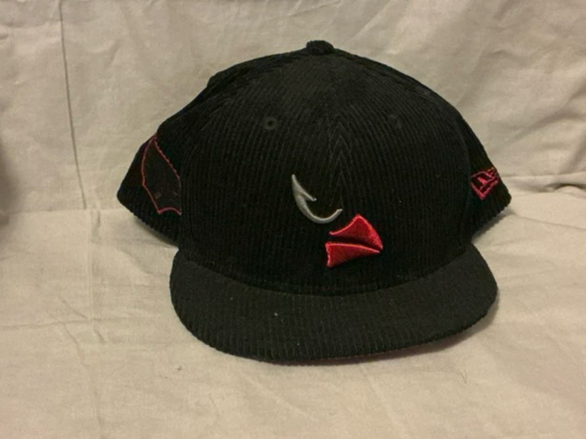 Arizona Cardinals. (NFC West)