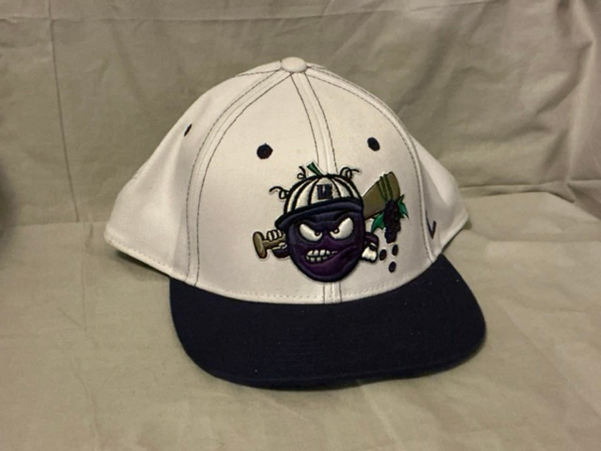 Lake Erie Crushers. (Frontier League)
