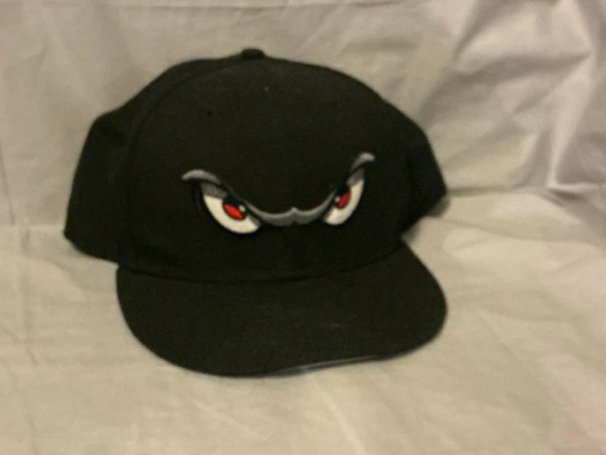 Lake Elsinore Storm. (Padres A)