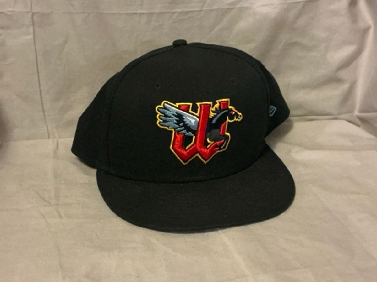 Wichita Wind Surge. (Twins AA)