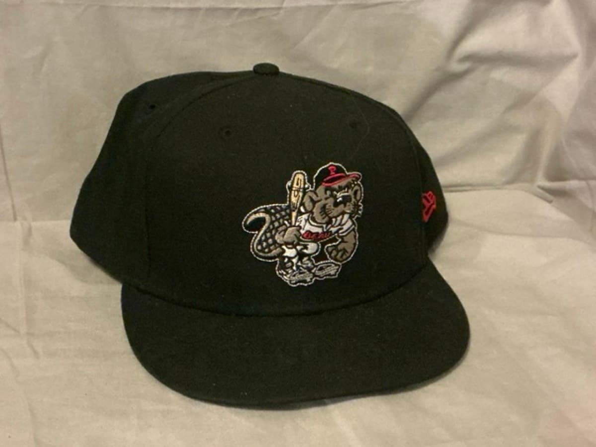 Portland Beavers. (Padres AAA)