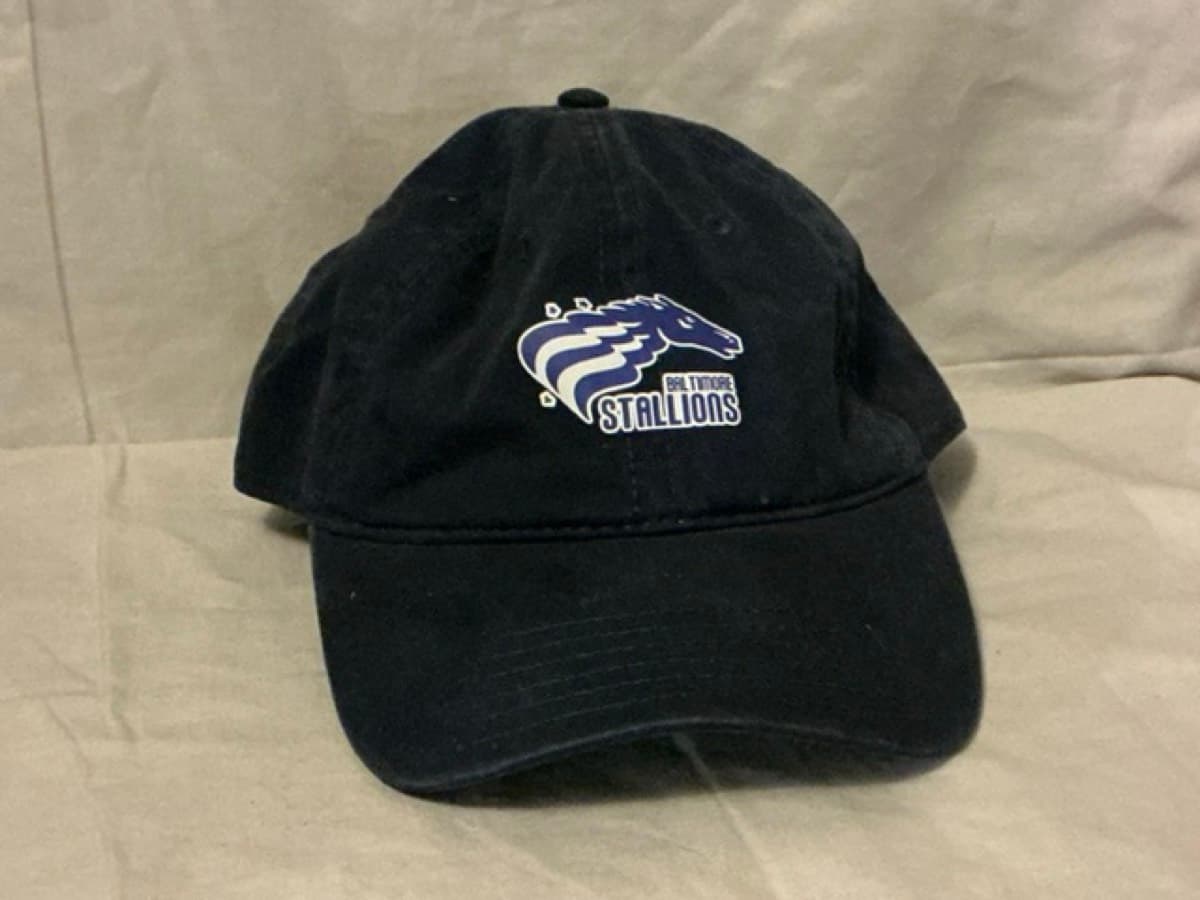 Baltimore Stallions CFL