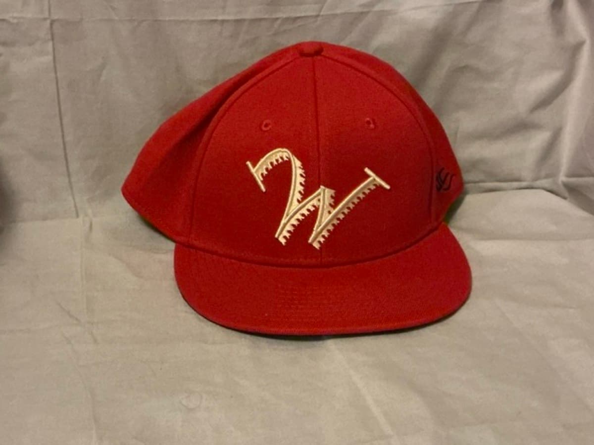 Williamsport Crosscutters. (Collegiate League)