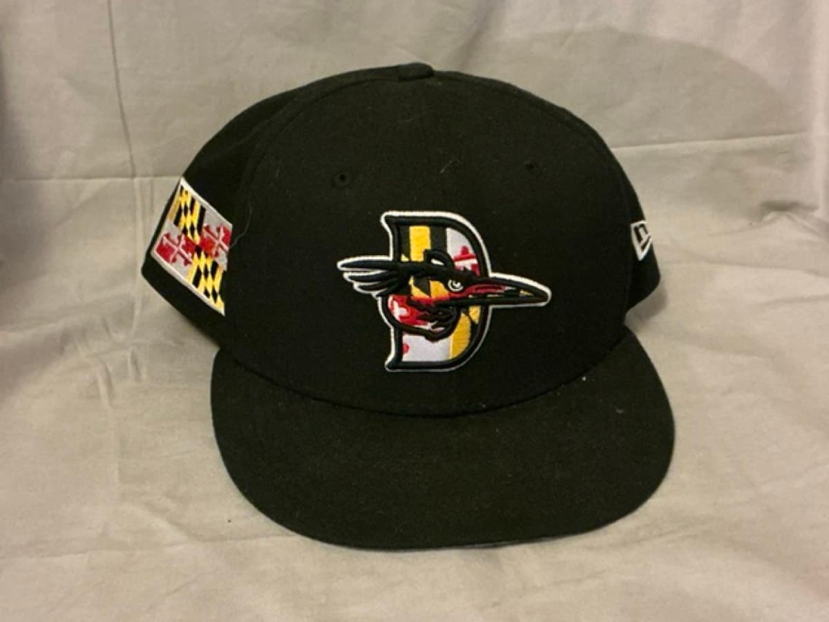 Delmarva Shorebirds