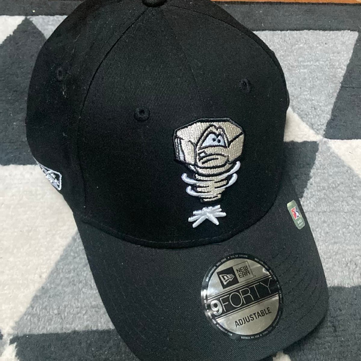 Lansing Lugnuts