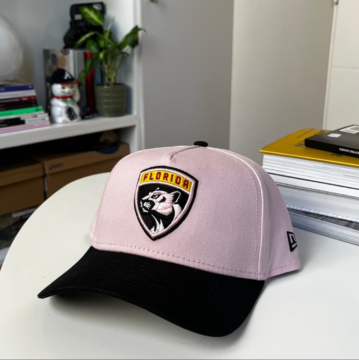 Florida « Pink Panthers »