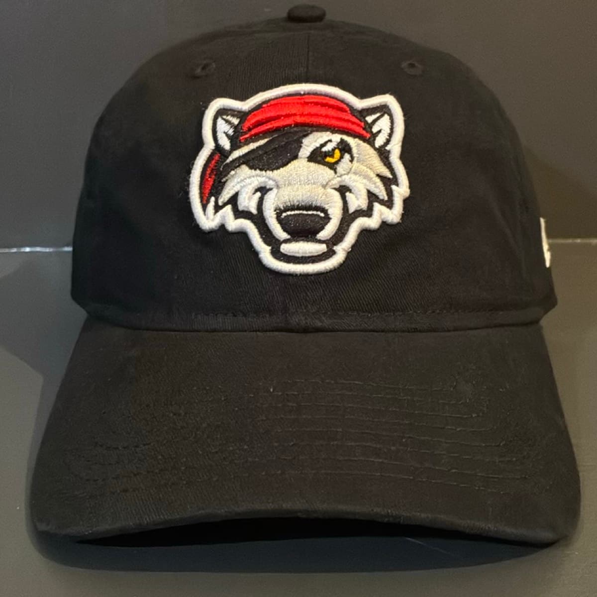 Cap Erie SeaWolves Strapback