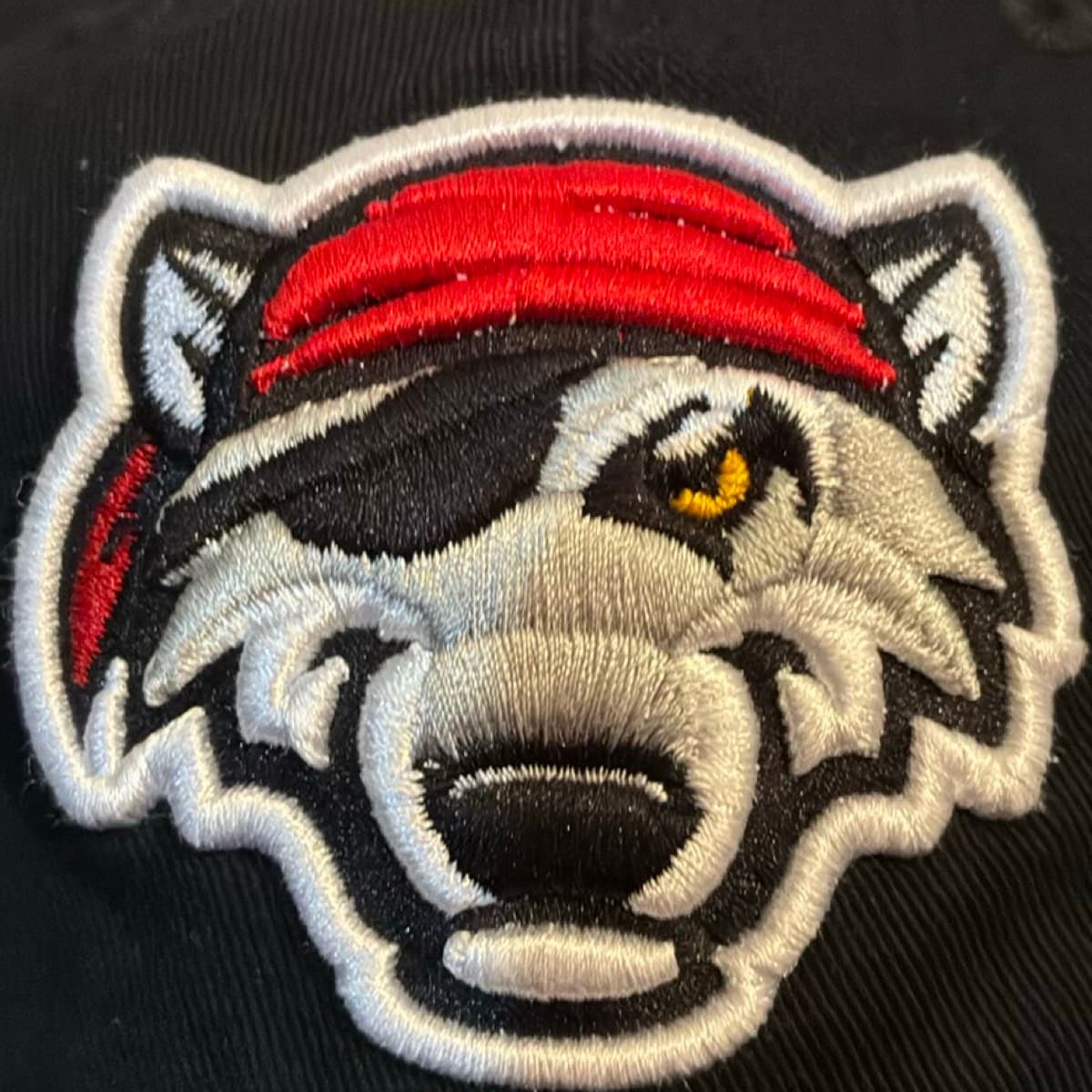 Cap Erie SeaWolves Strapback — 4