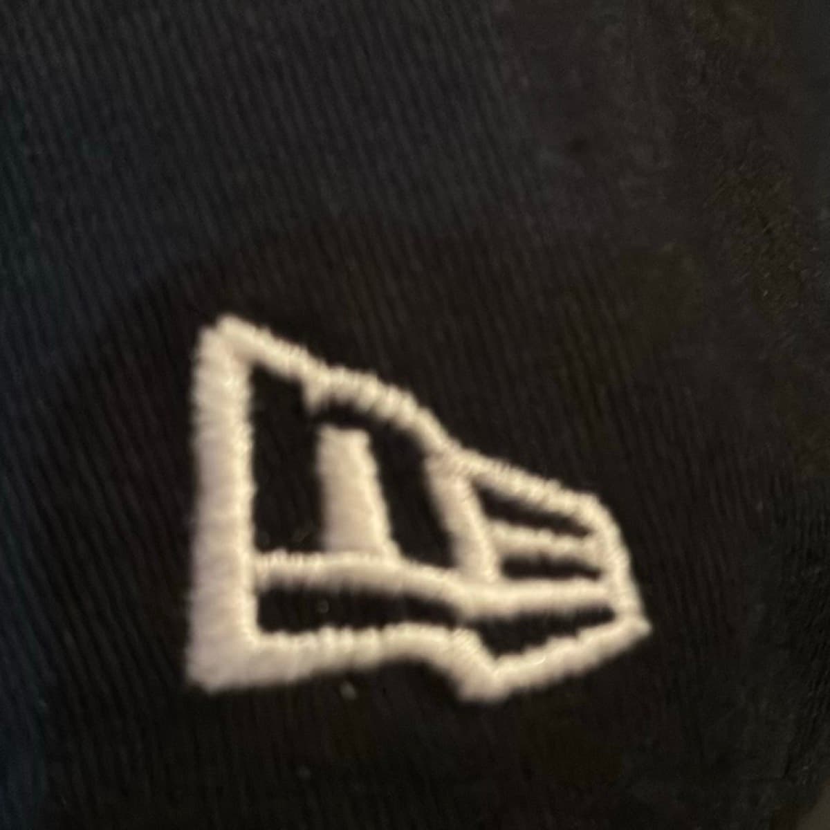 Cap Erie SeaWolves Strapback — 5
