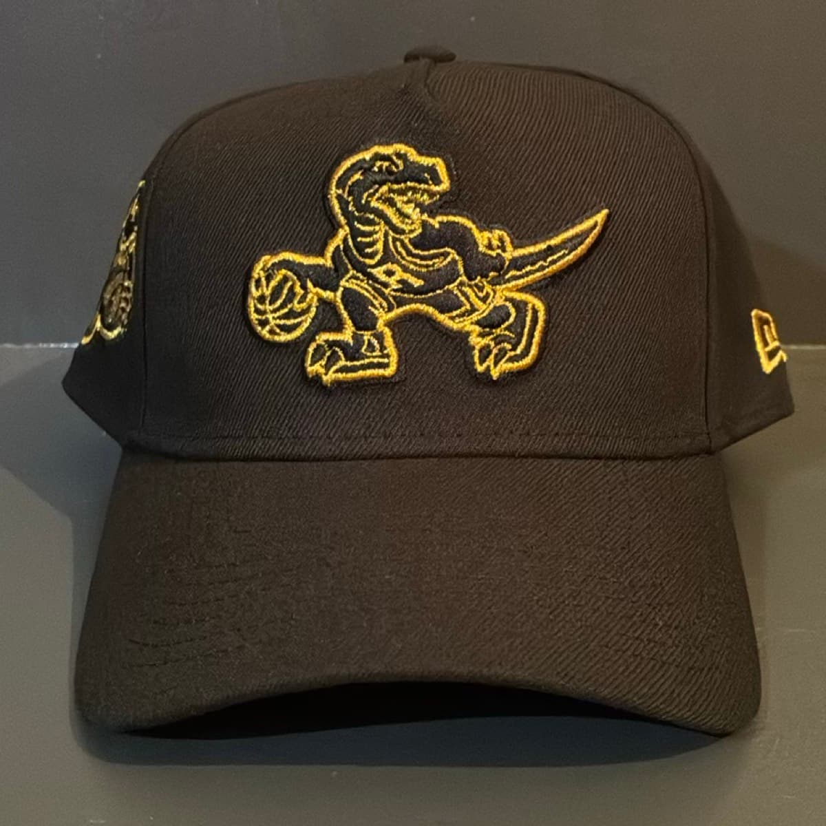 Casquette Toronto Raptors 30th SnapBack Hardwood Classics