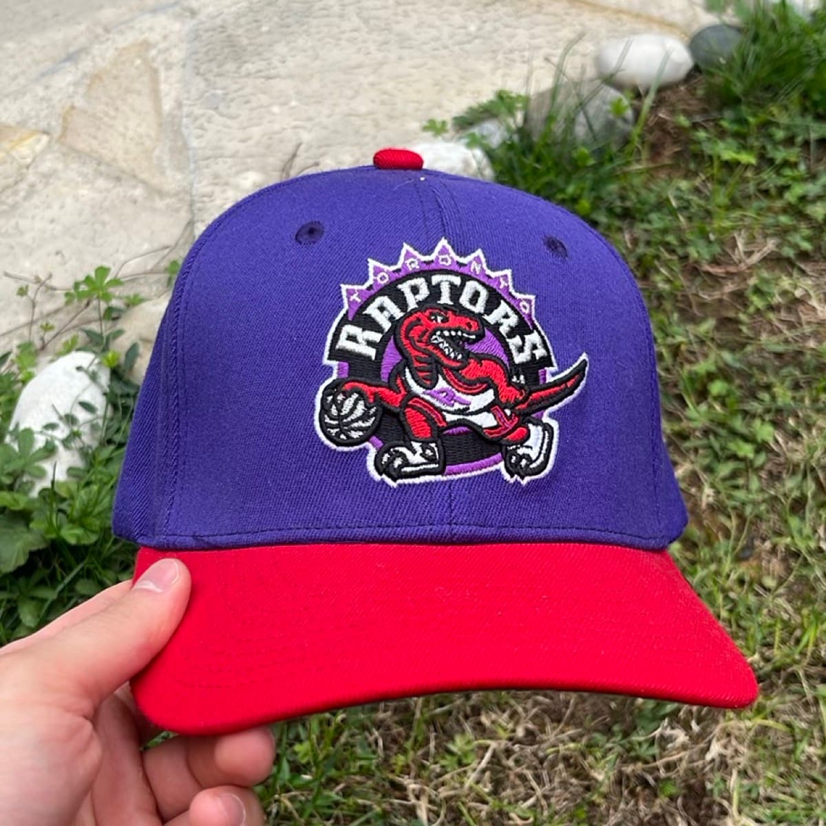 Toronto Raptors