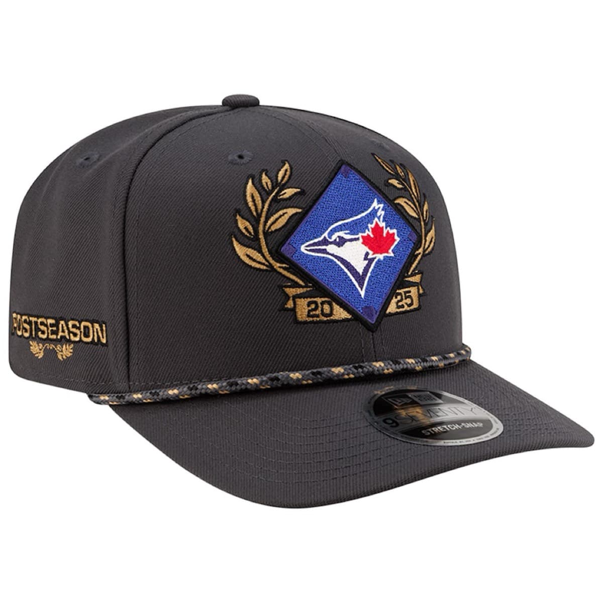 Toronto Blue Jays 2025 American League Division Series Champions