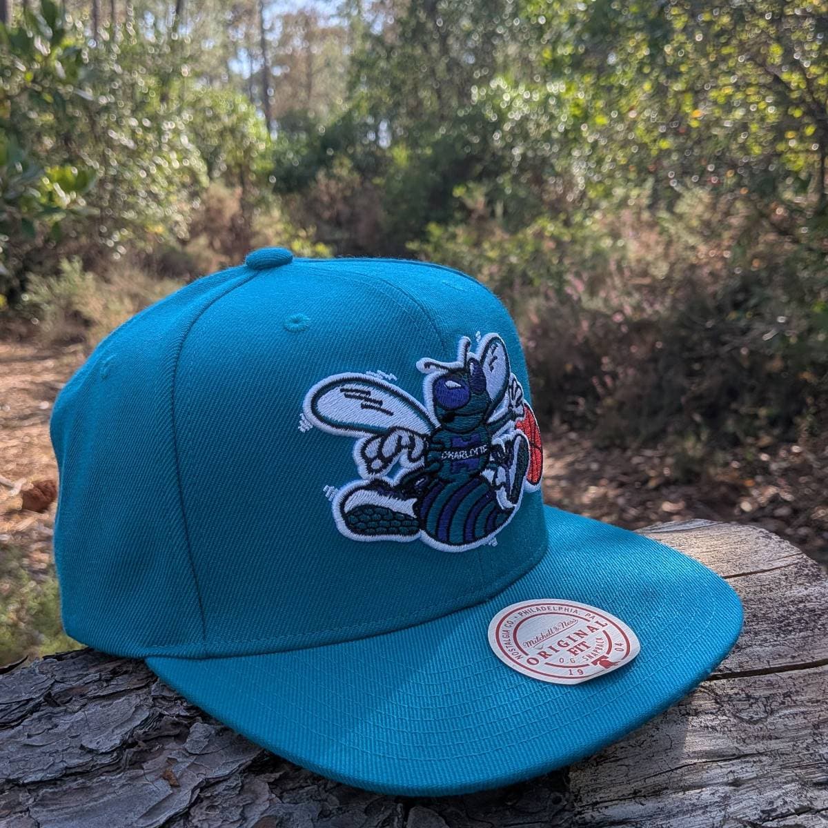 Casquette Charlotte Hornets