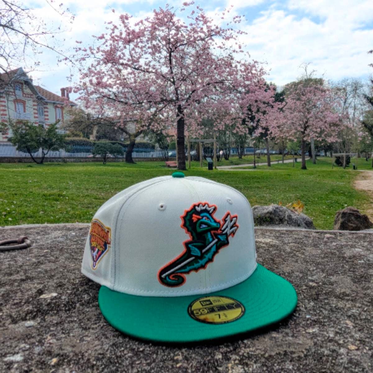 Casquette Daytona Tortugas