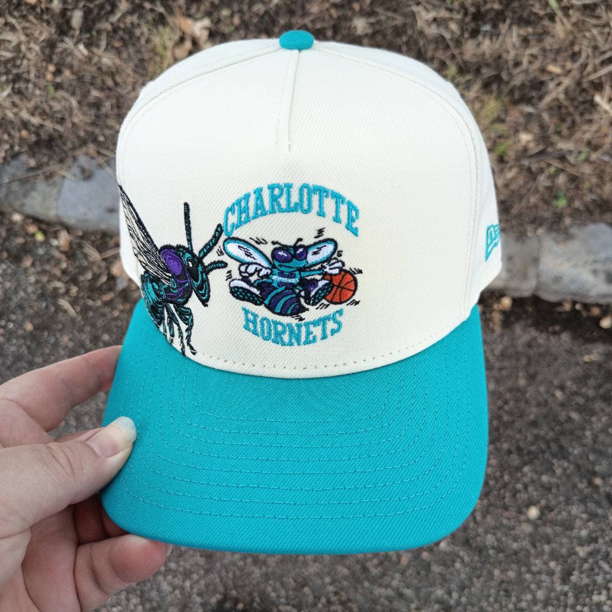 Casquette Charlotte Hornets