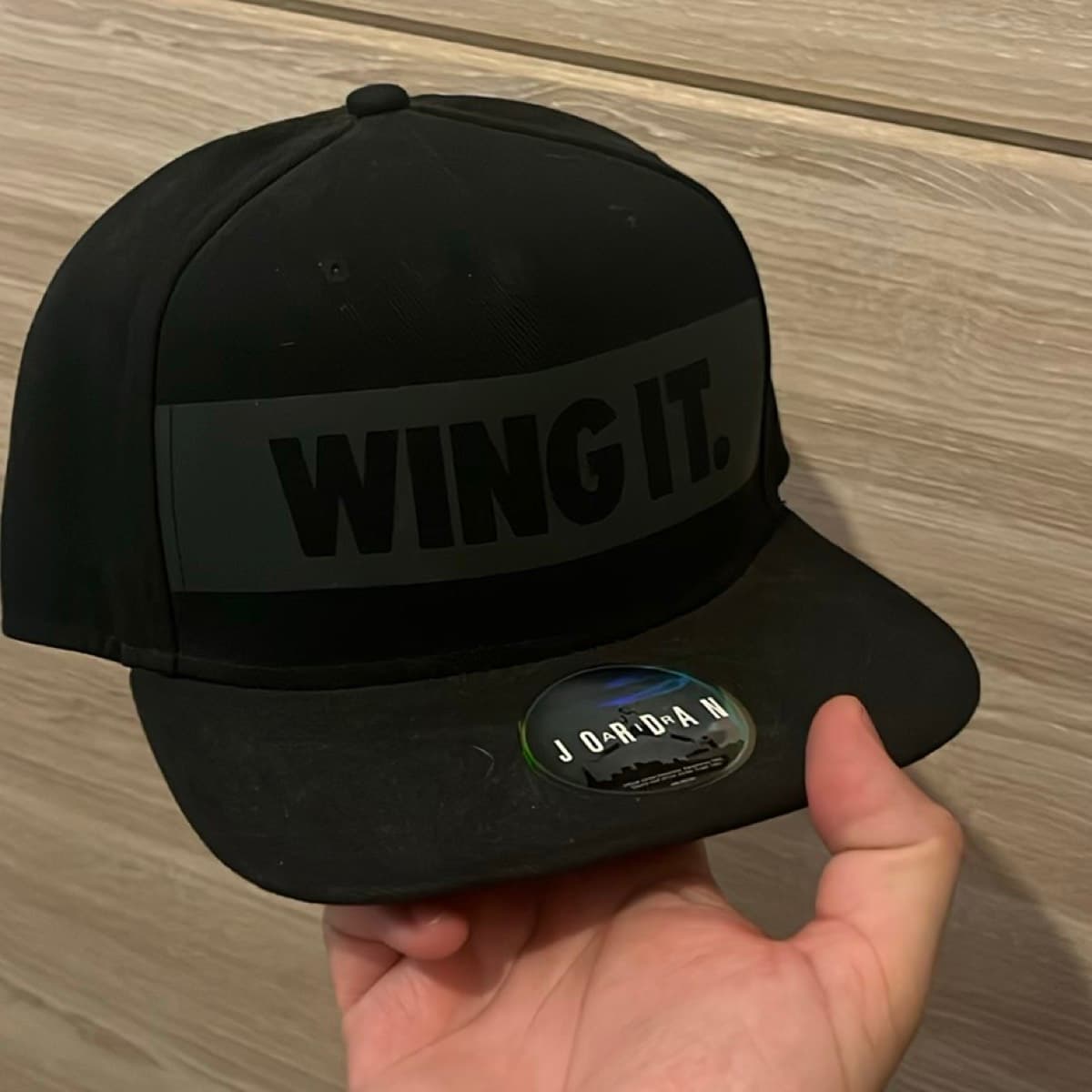 Cap Jordan Wing It (2)